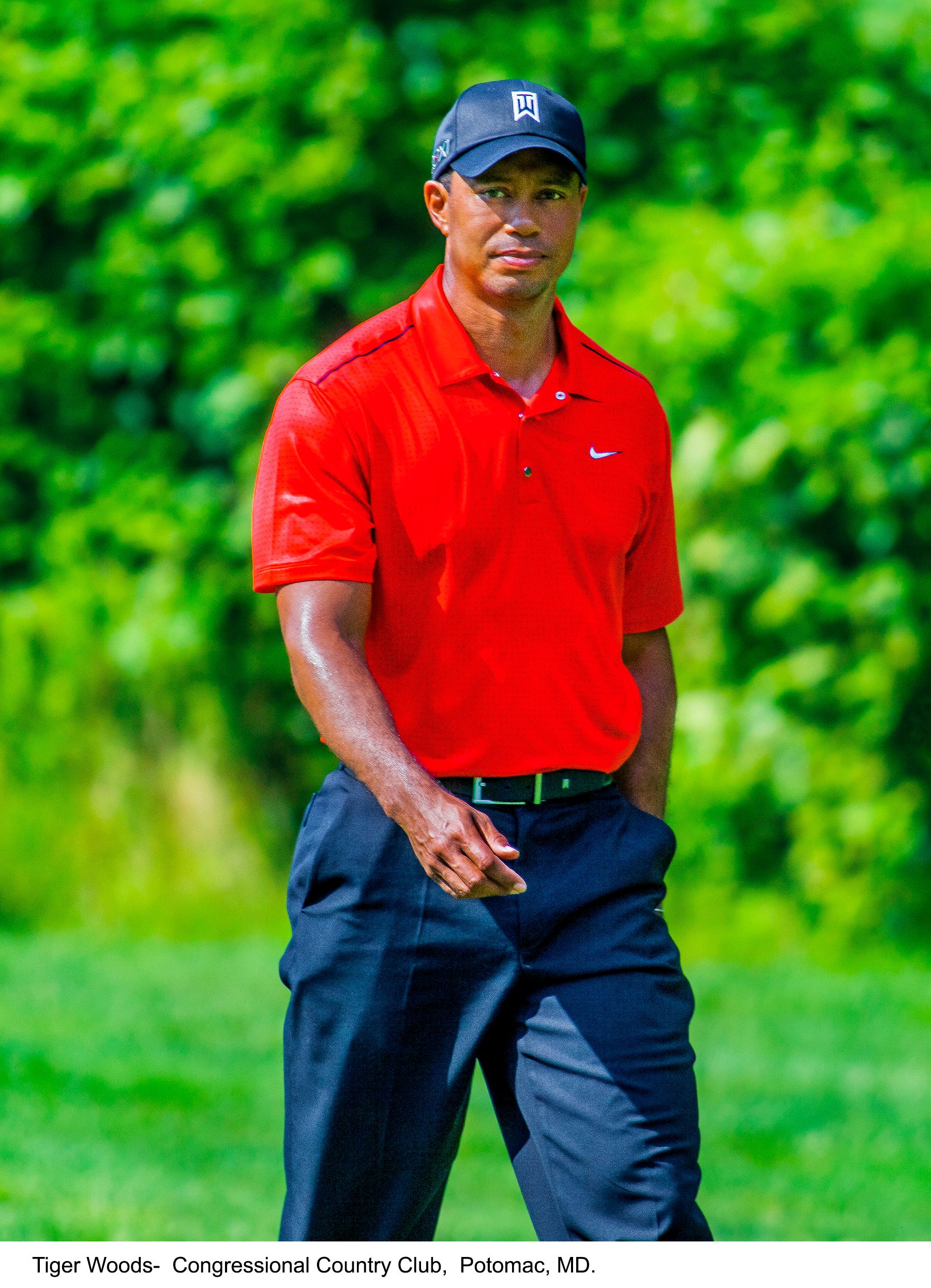 1413-  Tiger Woods  01.jpg