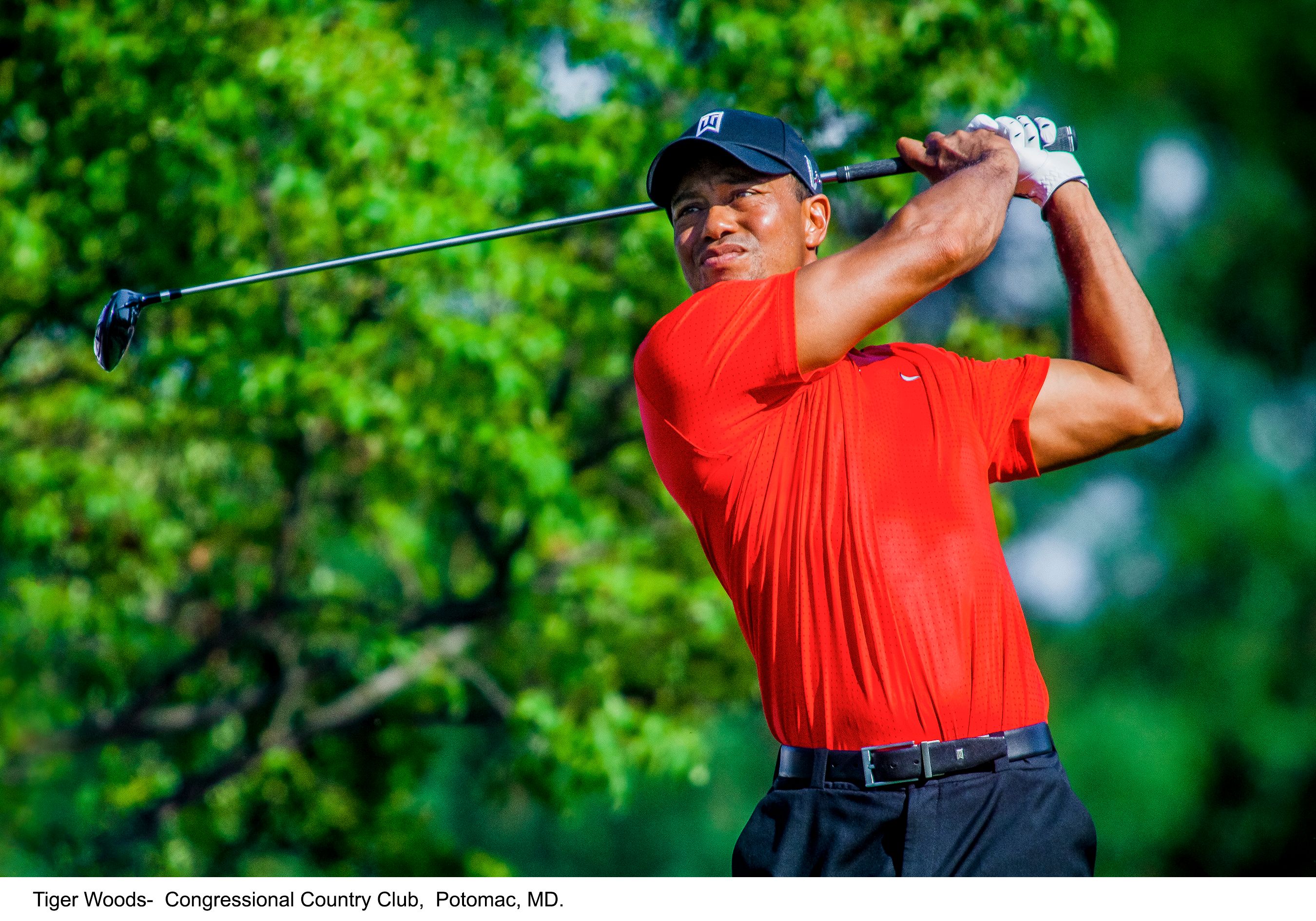 1563-  Tiger Woods.jpg