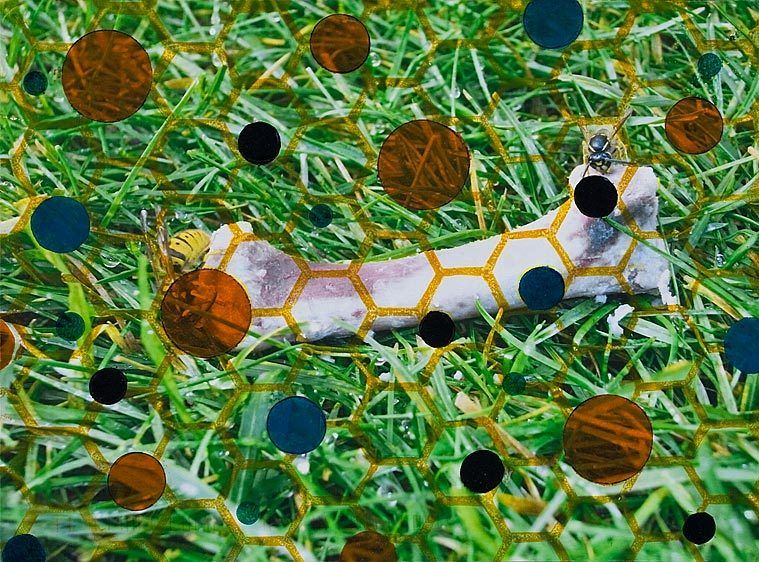 Artist: Diana Gonzalez GandolfiTitle:www.dianagonzalezgandolfi.com