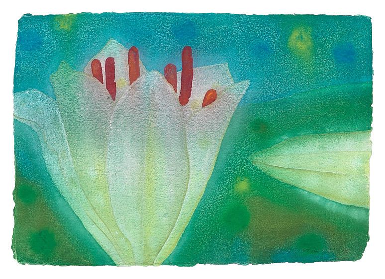 1basil_alkazzi_dream_lilies