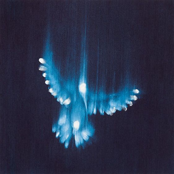 Artist: Ross BlecknerTitle: Falling Birdwww.rbleckner.com