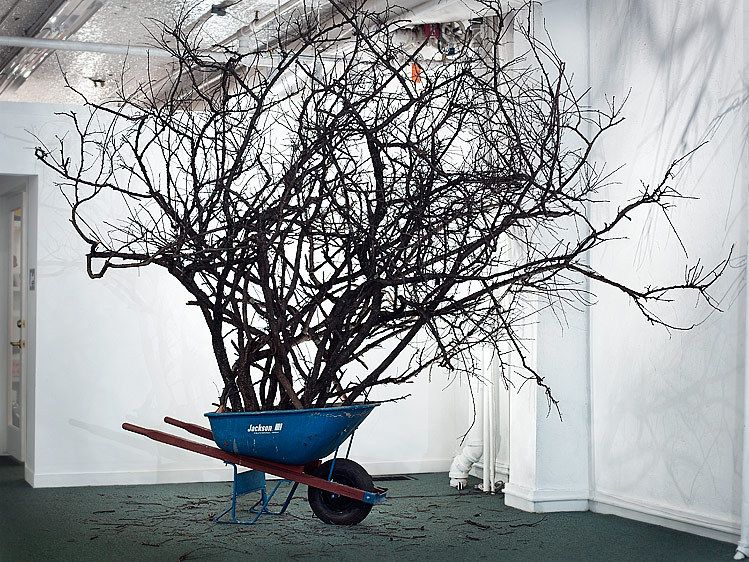 Artist: Greg LeshéTitle: Wheelbarrow TreeGround Over Skies Exhibition - Gallery Aferrowww.greglesheprojects.com