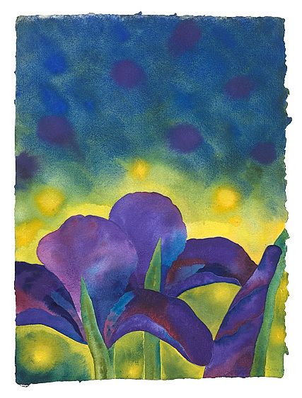 1basil_alkazi_iris_at_sunset