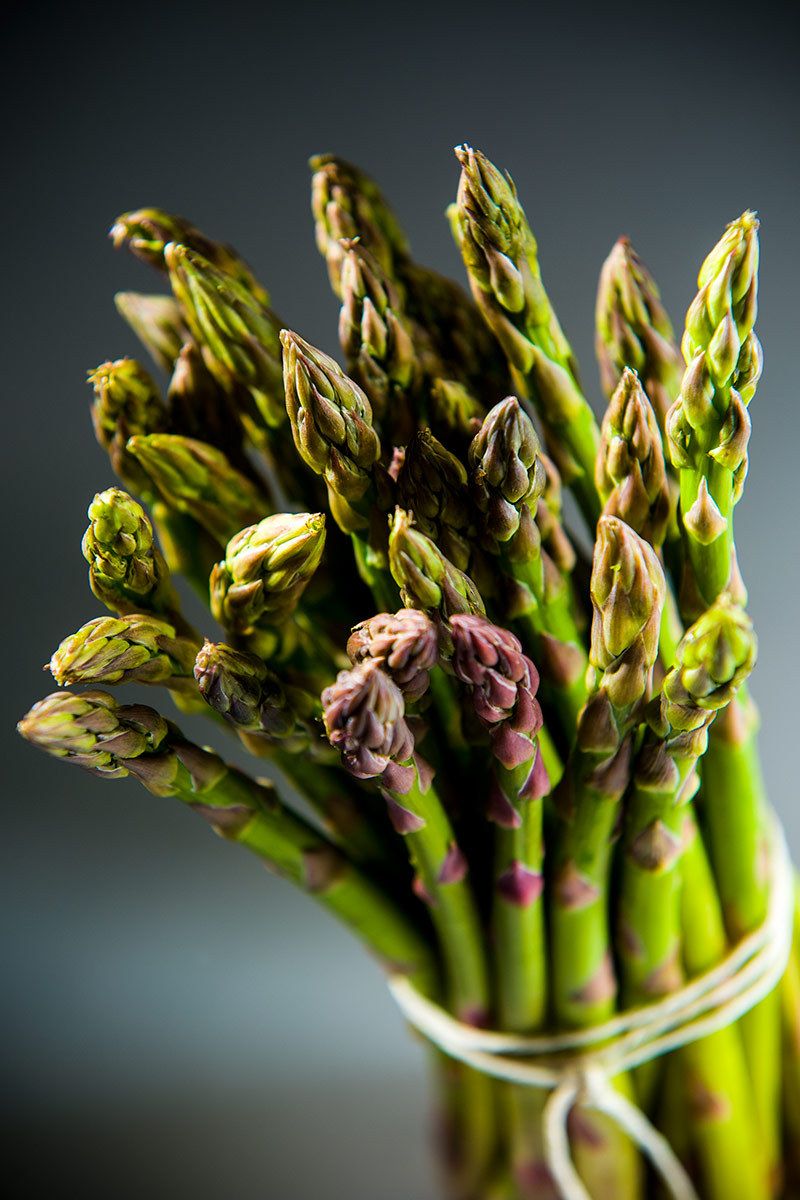 1asparagus_still_life2.jpg