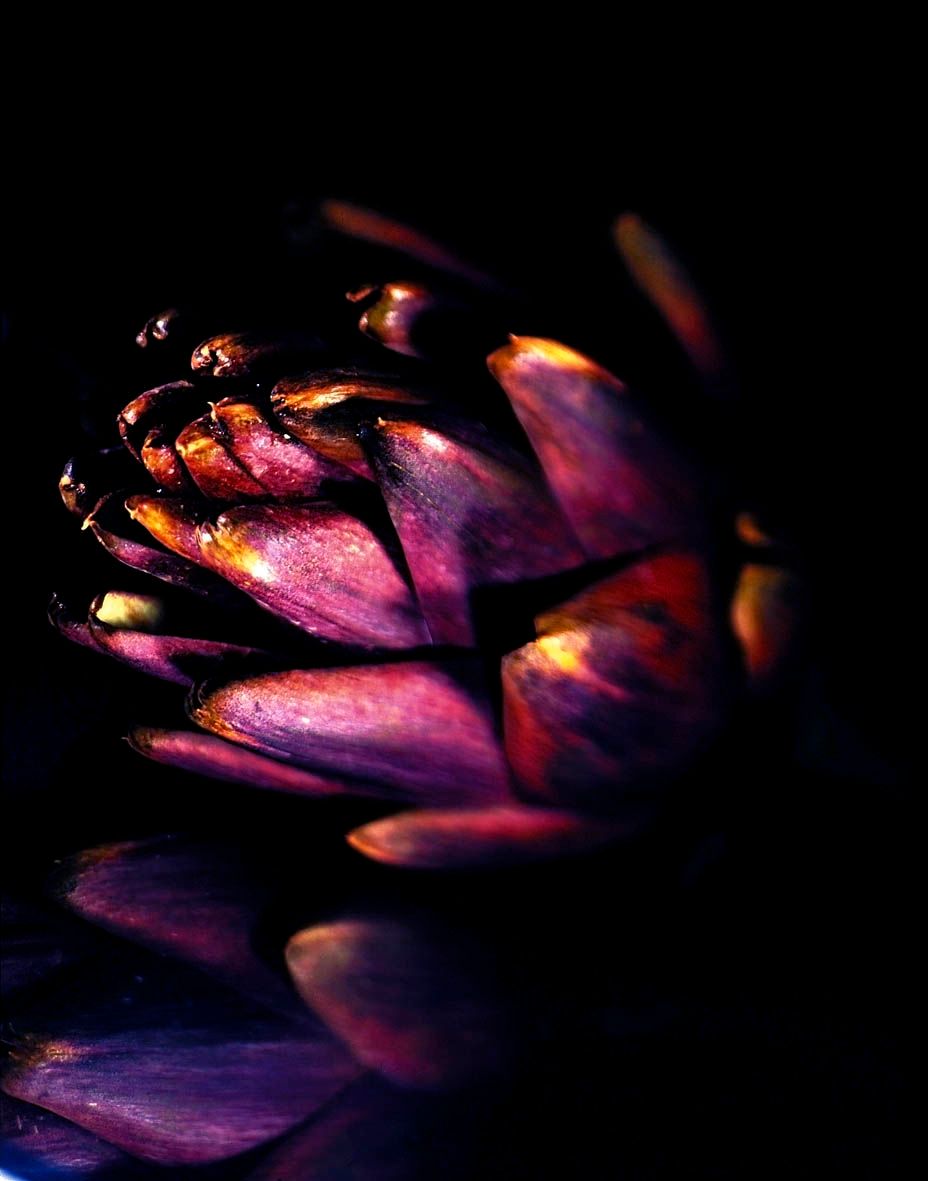 1moody_artichoke.jpg