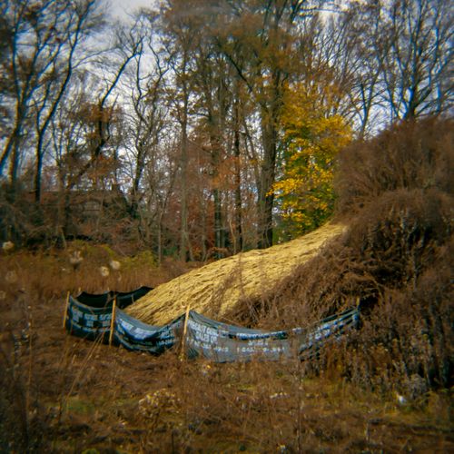 Field, New City, New York, 2015