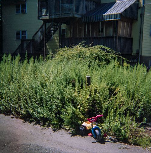 Trike, New Square, New York, 2015