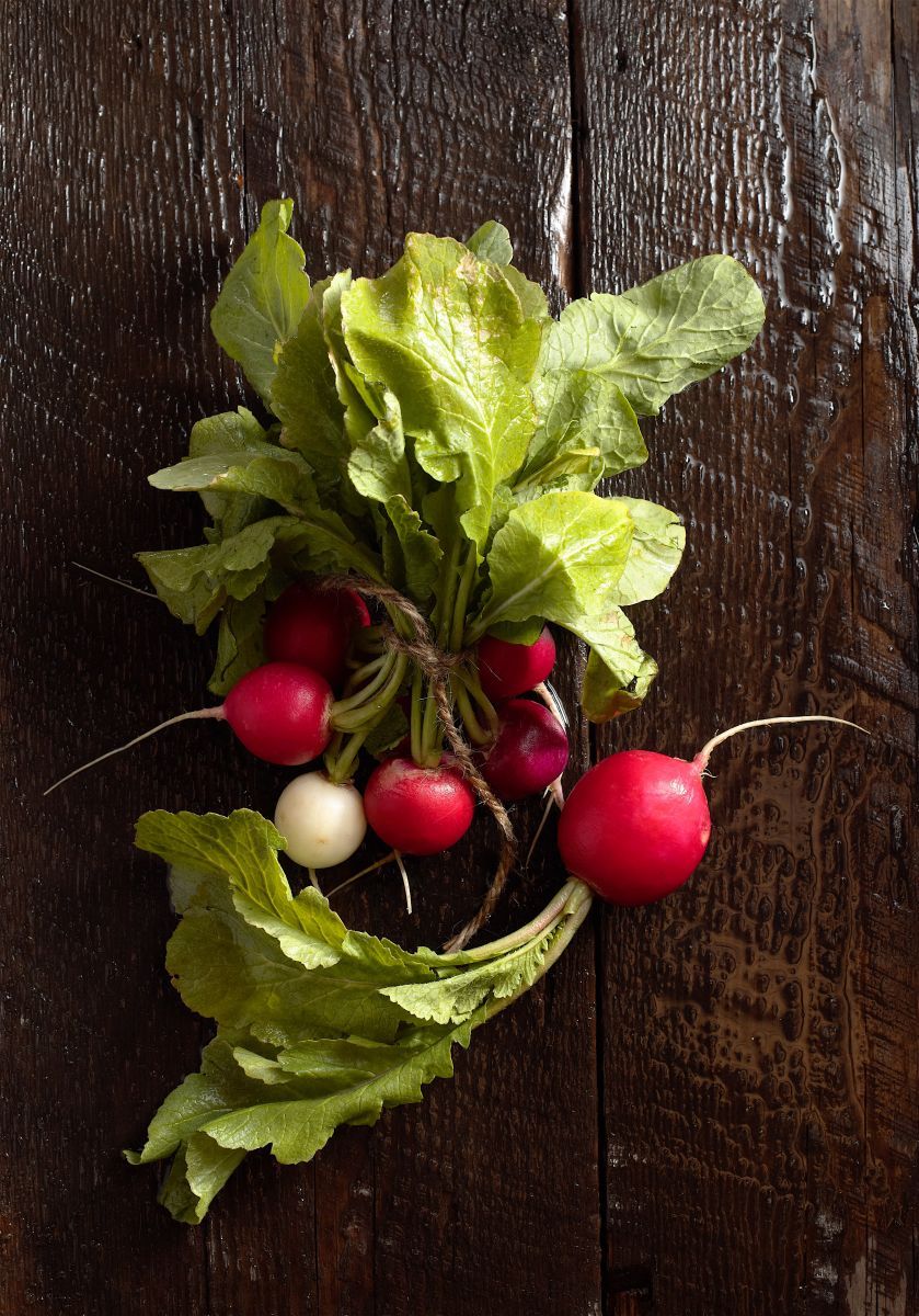 Fresh Radish Bunch