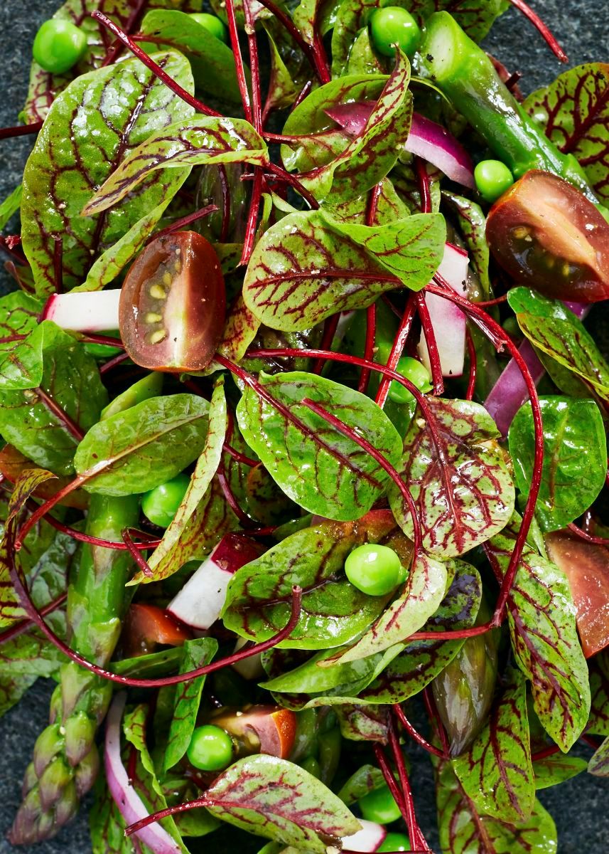 Spring Salad