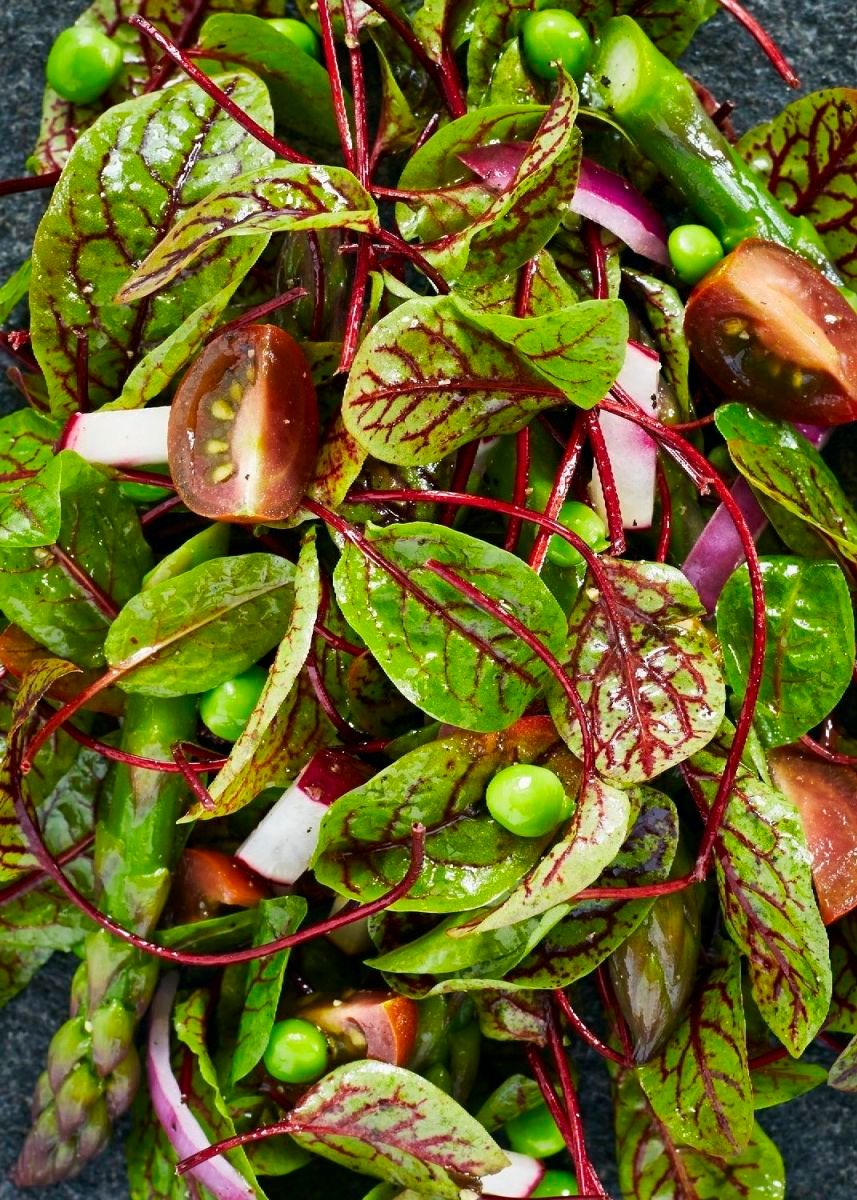 Red Veined Sorrel Spring Salad