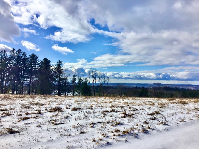 January 19 2020 Open field in Dutchess County.JPG