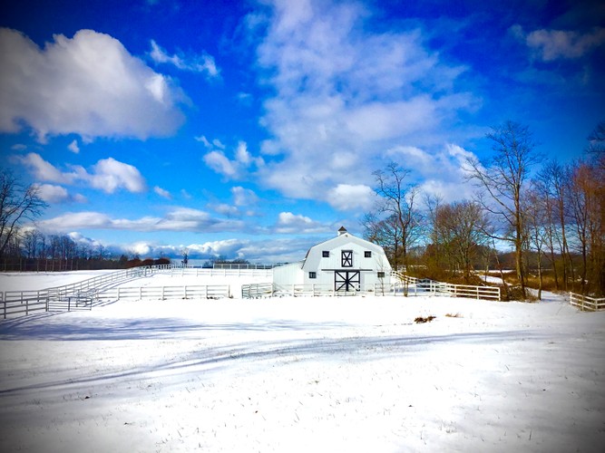 January 19 2020 Horse stable in Dutchess County.JPG