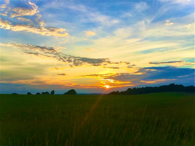 Birch Hill Summer sunset 5.JPG