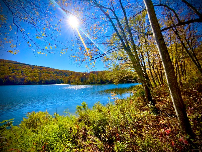 Fall season 2024 5.jpg