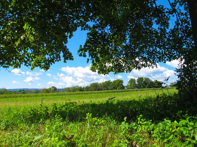 CT Last days of Summer 2018.jpg