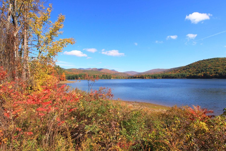 Woodstock 10 15 20 3.jpg