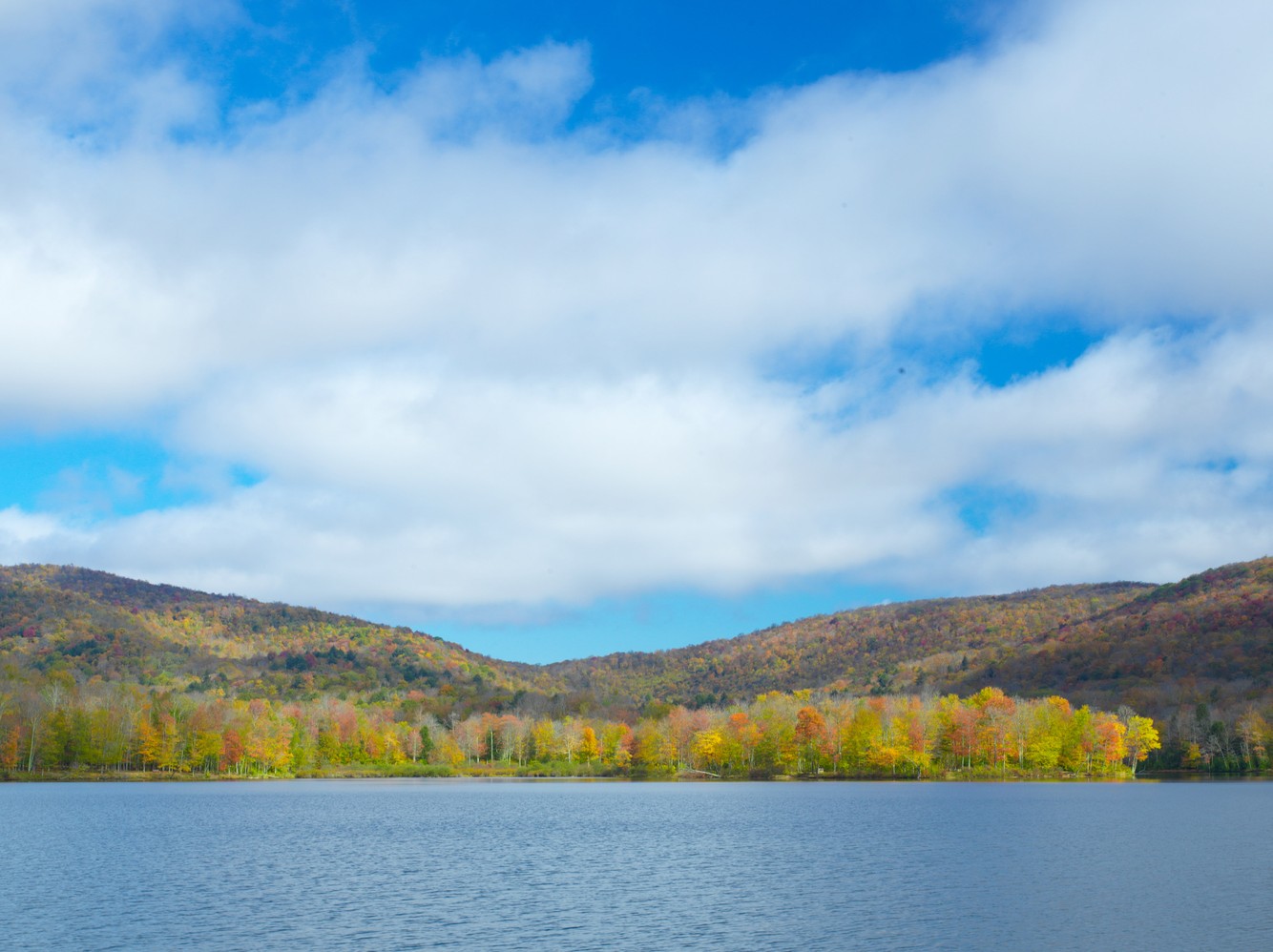 Mongaup Pond in catskills 3.jpg