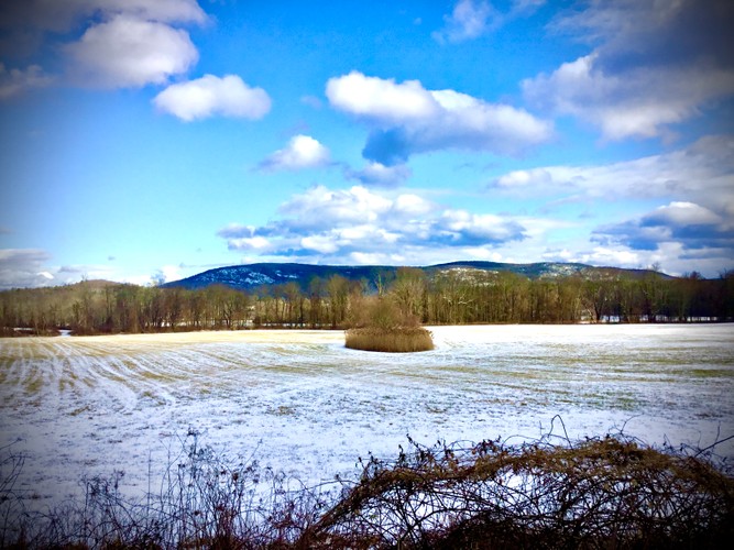 January 19 2020 Open field along Housitanic River.JPG