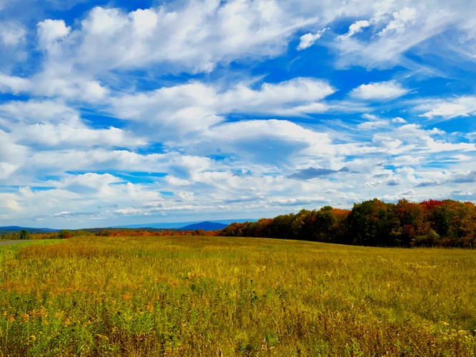 Fall season 2024 9.jpg