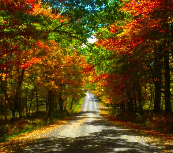 Fall foliage 2024 Canon 2.JPG