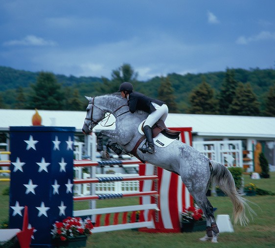 1adriondack_horse_show_2006_1.jpg