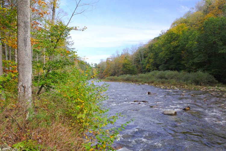 Autumn Stream October  email.jpg