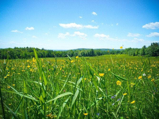 Aden Hll final 6 5 22 email.jpg