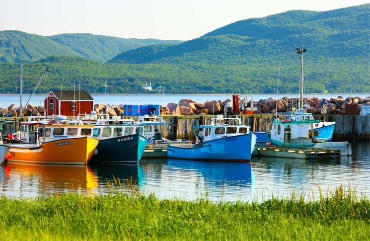 1close_up_at_neil_s_harbor.jpg