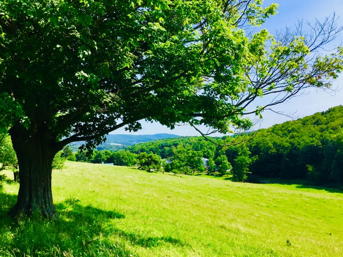 Columbia County Farm in Valley June 2019.JPG