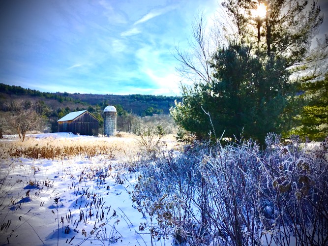 Wemple Road farm December 8 2019.jpg