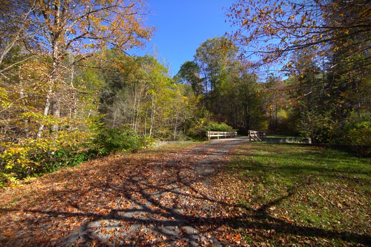 Beech Road Home Bridge.jpg