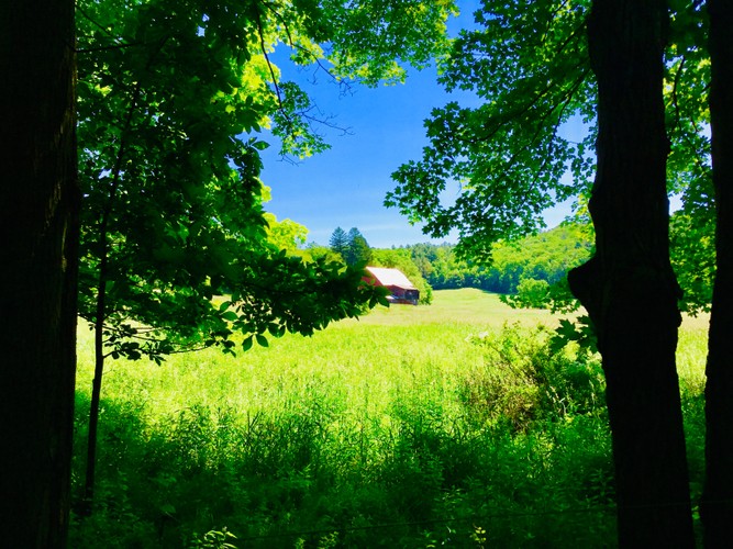 Columbia County Farm House June 2019.JPG