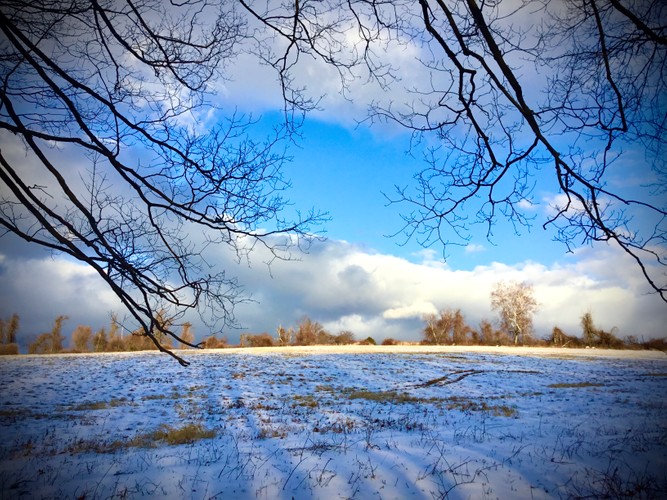 January 19 2020 Cozier Hill CT.JPG