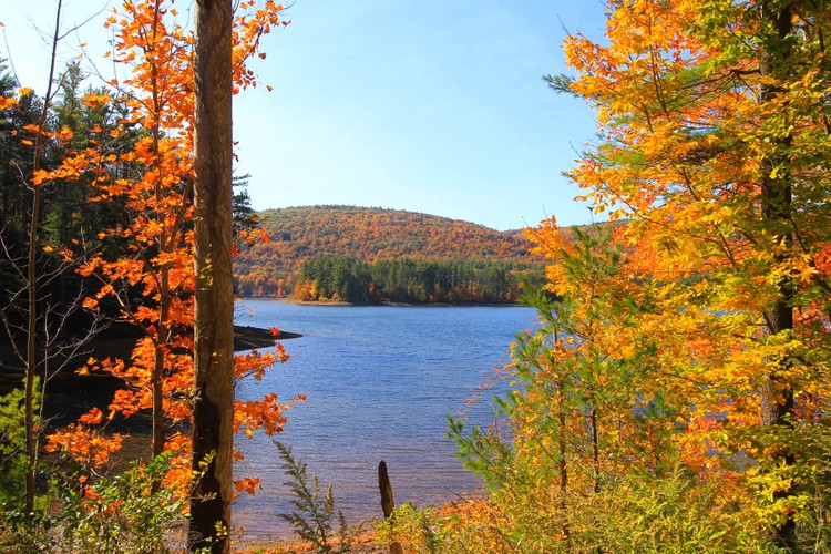 Woodstock 10 15 20 2.jpg