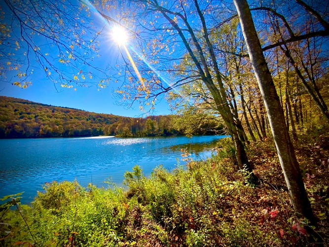 Fall season 2024 5.jpg