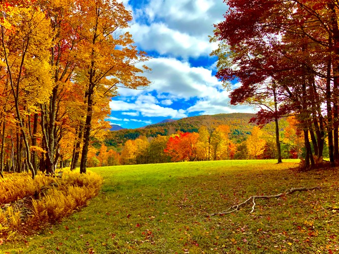 Fall foliage Catskills 10 08 22.jpg