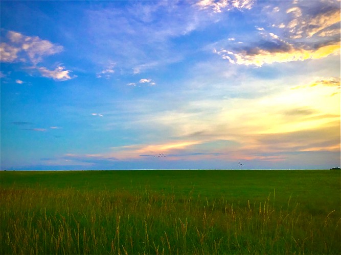 Birch Hill Summer sunset 3.JPG