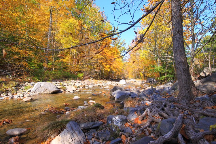 Woodstock 10 15 20.jpg