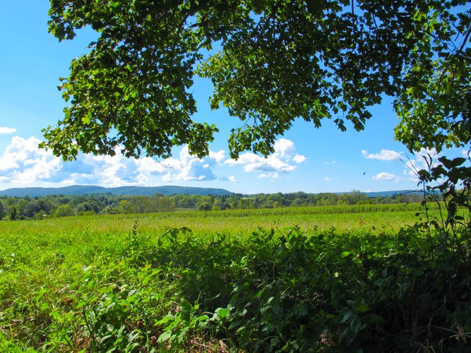 CT Last days of Summer 2018 2.jpg