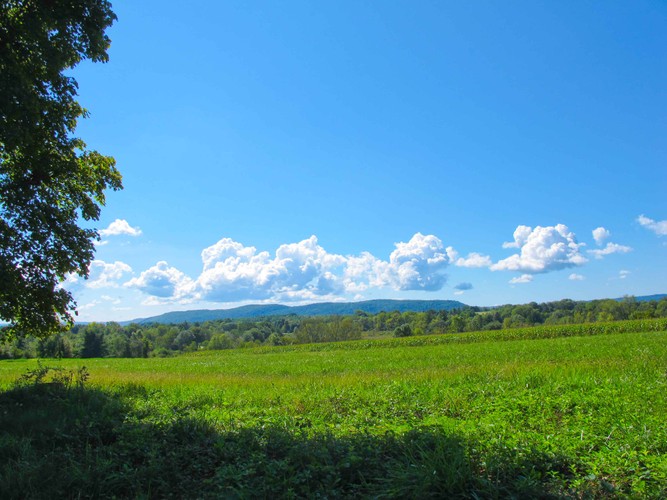 CT Last days of Summer 2018 4.jpg