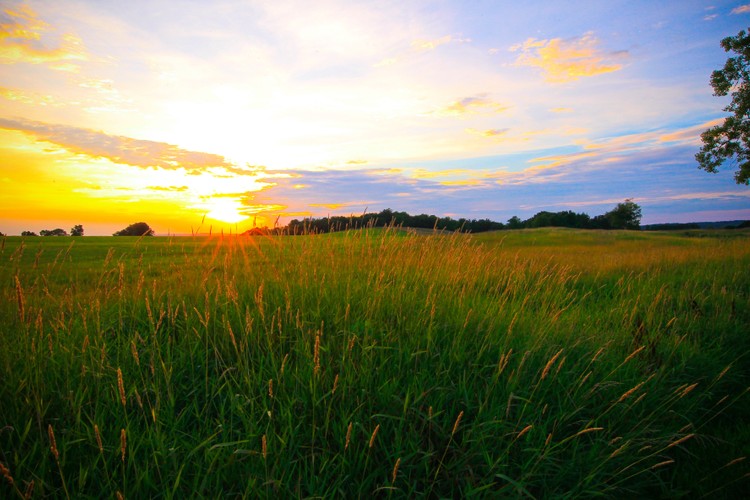 Birch Hill sunset and Summer field 7 21 20 2.jpg