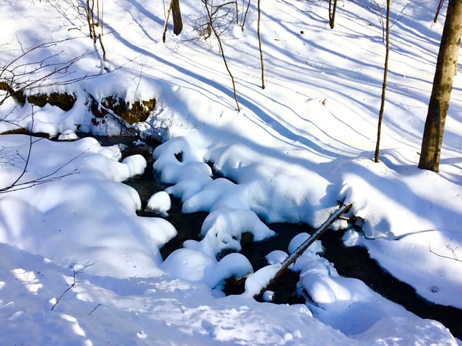 Winter stream along Cemetary Rd December 8 2019.JPG