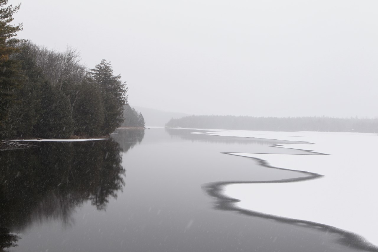 First Snowfall at South Lake, Catskills 2017.jpg