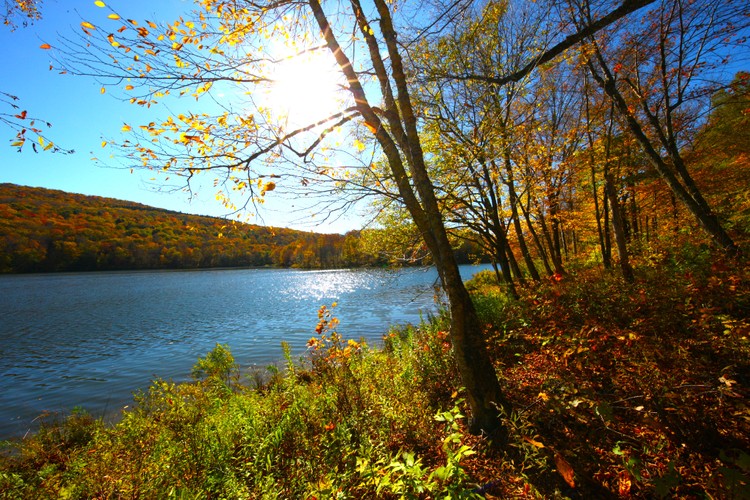 Fall foliage 2024 Canon 6.JPG