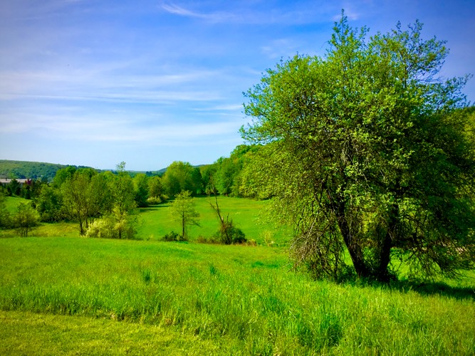 Columbia County Farm May 24 2019 10.JPG