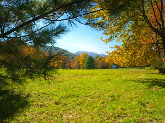 Woodstock 10 15 20 4.jpg