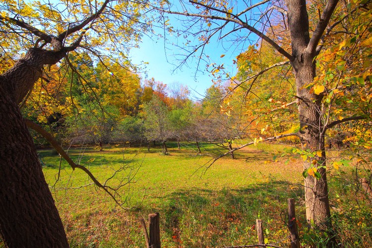 Ten Broeck Road 10 10 20 email.jpg