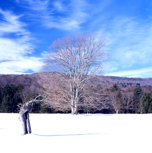 Winter trail to Slide Mountain