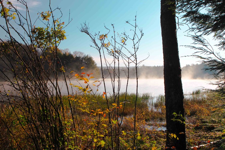 Autumn Lake October 14 2018.jpg