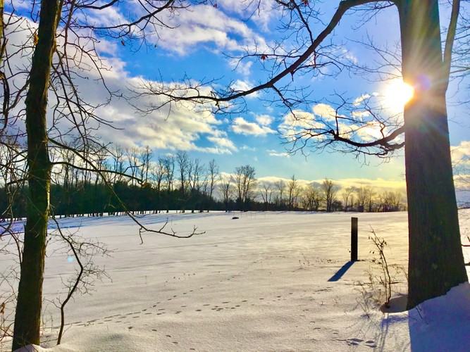 Winter farm field at morning Columbia County December 8 2019.JPG